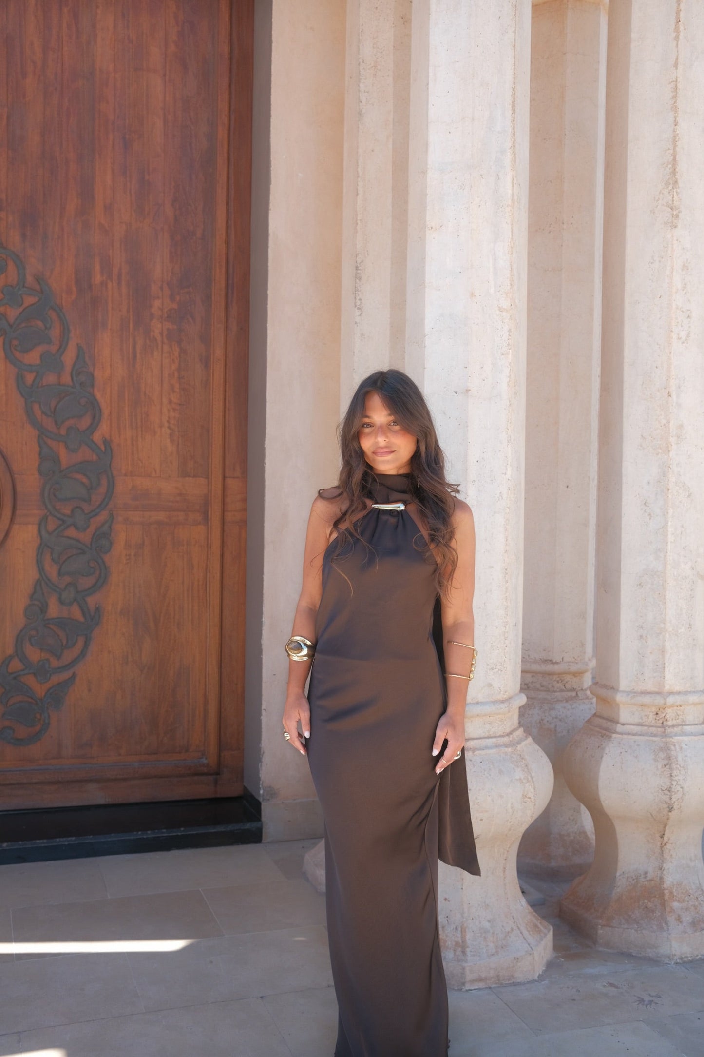 Safira Dress in Brown