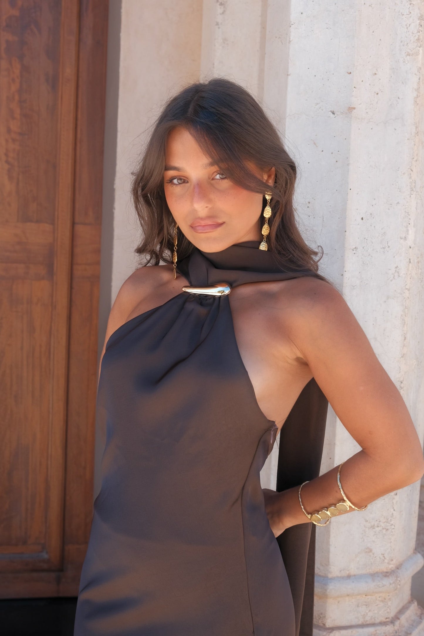 Safira Dress in Brown